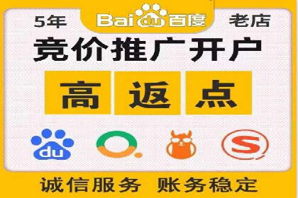 某电商平台的SEM推广策略及效果分析